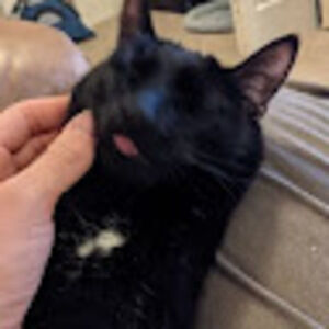 Meet your Posher, Cameron